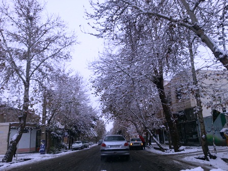 تصاویر : برف امروز در خیابان های شاهرود 